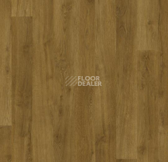 Ковролин Flotex Vision Naturals 010053 Golden Oak фото 1 | FLOORDEALER